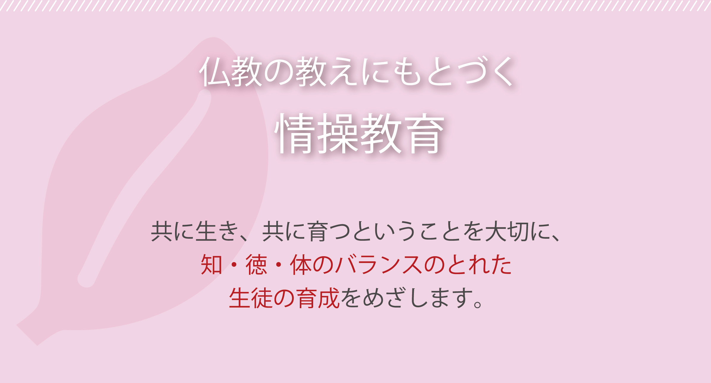 仏教の教えにもとづく情操教育